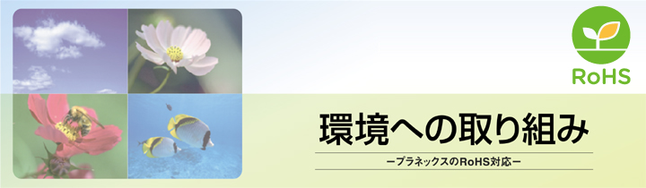 ���ւ̎��g��