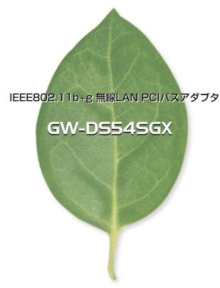 GW-DS54SGX