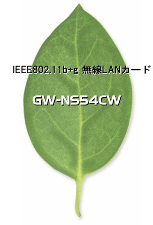 GW-NS54CW