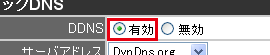 DDNS有効