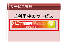 CyberGate-DDNS