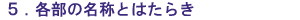 各部の名称とはたらき